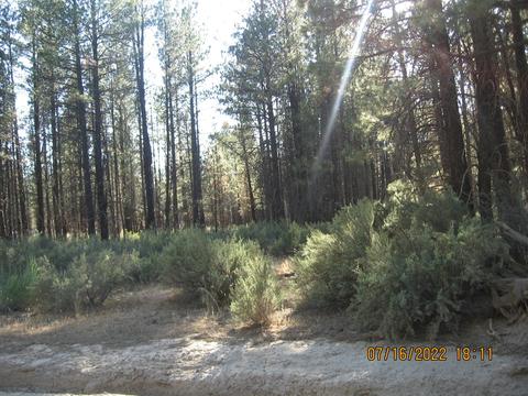 lot1 Gray Wolf Ln, Sprague River, OR 97639
