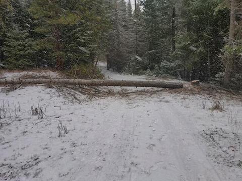 22083 Switchback Rd, Sprague River, OR 97639 photo 11