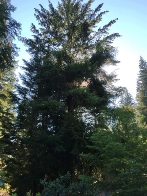 22083 Switchback Rd, Sprague River, OR 97639 photo 12