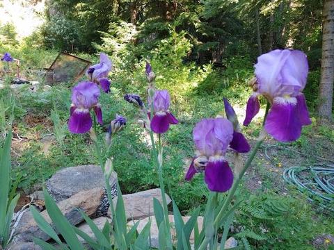 22083 Switchback Rd, Sprague River, OR 97639 photo 3