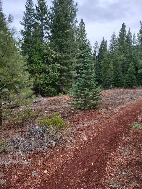 22083 Switchback Rd, Sprague River, OR 97639 photo 14