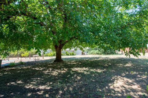 254 Summit Loop, Grants Pass, OR 97527 photo 36