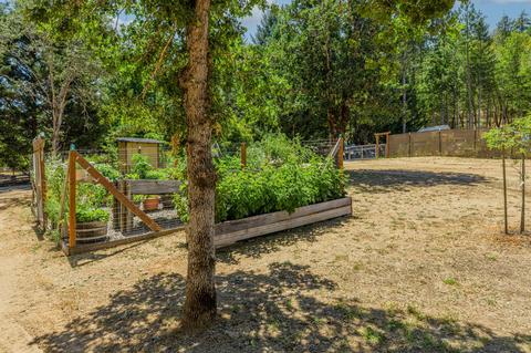 4445 Evans Creek Rd, Rogue River, OR 97537 photo 47