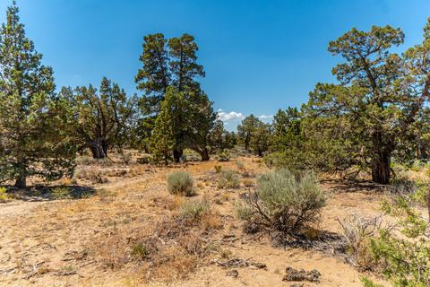 24850 Alpine Ln, Bend, OR 97701 photo 55