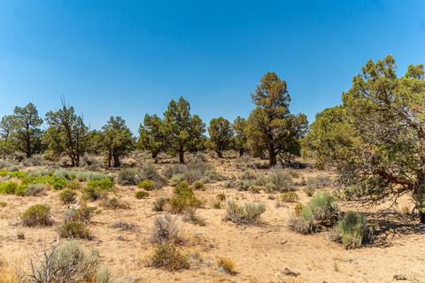 24850 Alpine Ln, Bend, OR 97701 photo 54