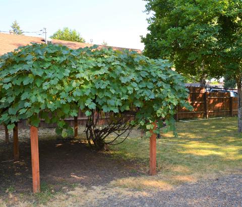 148 Napa St, Eagle Point, OR 97524 photo 16