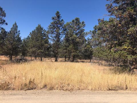 lot17 Prairie Dog Ln, Bonanza, OR 97623