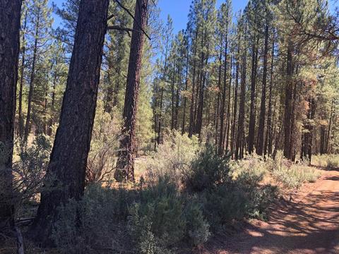 lot19 Buckhorn Ln, Sprague River, OR 97639