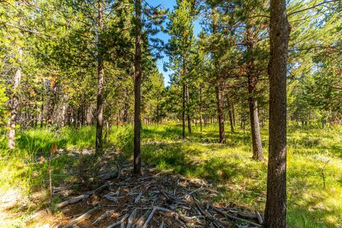 55355 Hen Ln, Bend, OR 97707 photo 8