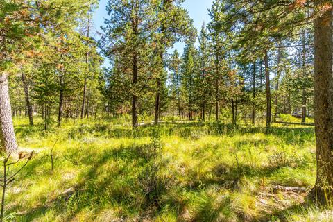 55355 Hen Ln, Bend, OR 97707 photo 10