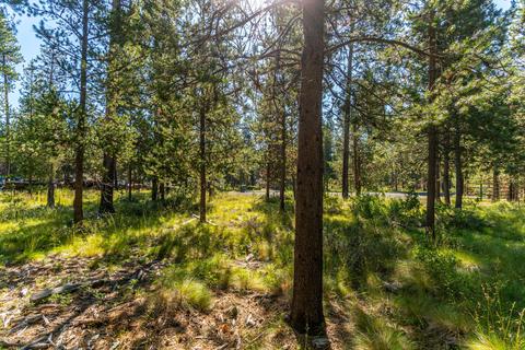 55355 Hen Ln, Bend, OR 97707 photo 7