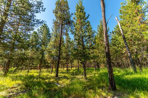 55355 Hen Ln, Bend, OR 97707 photo 1