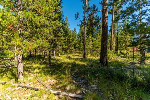 55355 Hen Ln, Bend, OR 97707 photo 9