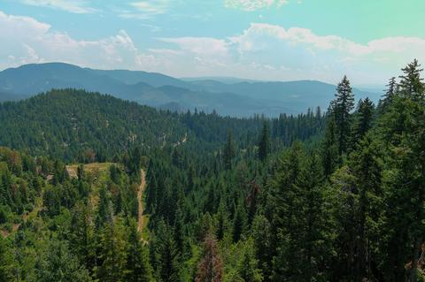 14083 Elk Creek Rd, Trail, OR 97541