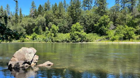 1212 Green Tree Loop, Grants Pass, OR 97527 photo 186