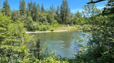 1212 Green Tree Loop, Grants Pass, OR 97527 photo 97