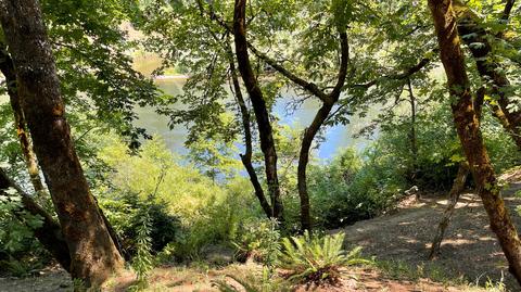 1212 Green Tree Loop, Grants Pass, OR 97527 photo 198