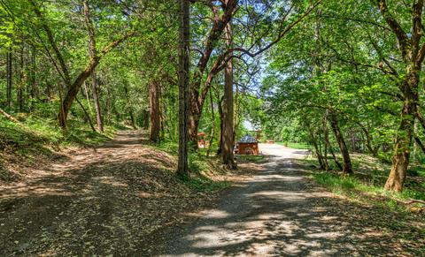 1212 Green Tree Loop, Grants Pass, OR 97527 photo 145