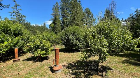 1212 Green Tree Loop, Grants Pass, OR 97527 photo 140