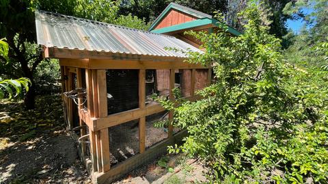 1212 Green Tree Loop, Grants Pass, OR 97527 photo 136