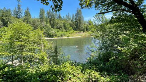 1212 Green Tree Loop, Grants Pass, OR 97527 photo 98