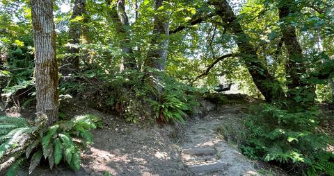 1212 Green Tree Loop, Grants Pass, OR 97527 photo 104