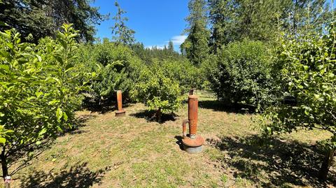 1212 Green Tree Loop, Grants Pass, OR 97527 photo 139