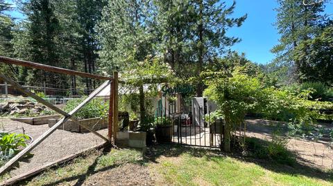 1212 Green Tree Loop, Grants Pass, OR 97527 photo 131