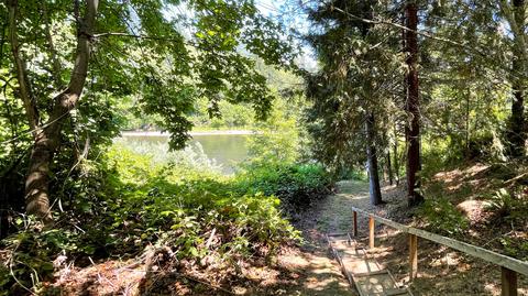1212 Green Tree Loop, Grants Pass, OR 97527 photo 178
