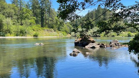 1212 Green Tree Loop, Grants Pass, OR 97527 photo 185