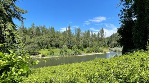 1212 Green Tree Loop, Grants Pass, OR 97527 photo 141