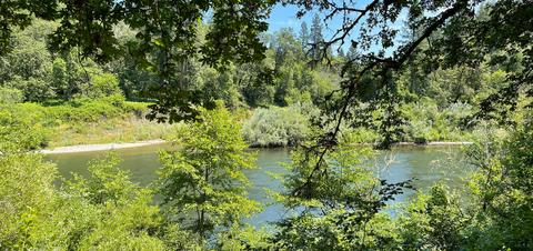 1212 Green Tree Loop, Grants Pass, OR 97527 photo 101