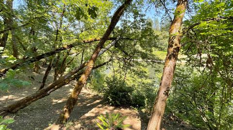 1212 Green Tree Loop, Grants Pass, OR 97527 photo 102