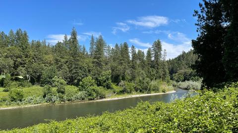 1212 Green Tree Loop, Grants Pass, OR 97527 photo 142