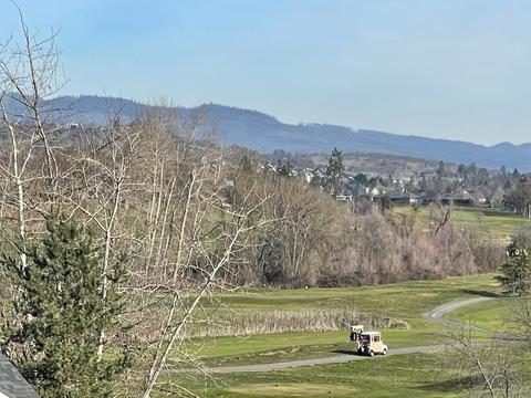 215 Sky Hawk Dr, Eagle Point, OR 97524 photo 10