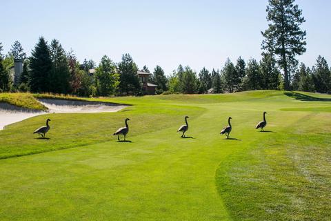 19494 Green Lakes Loop, Bend, OR 97702 photo 29