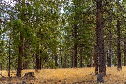 62513 Mcclain Dr, Bend, OR 97703 photo 13