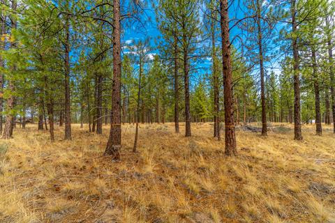 62513 Mcclain Dr, Bend, OR 97703 photo 15