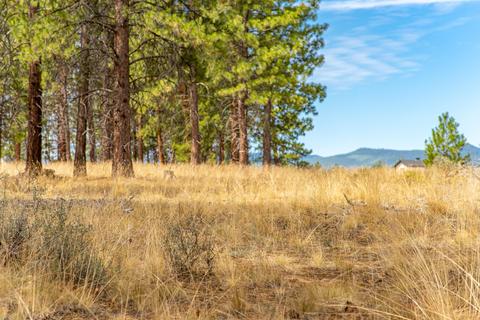 62513 Mcclain Dr, Bend, OR 97703 photo 6