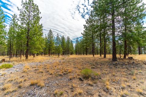 62513 Mcclain Dr, Bend, OR 97703 photo 20