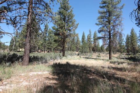 24819 Moccasin Ln, Sprague River, OR 97639