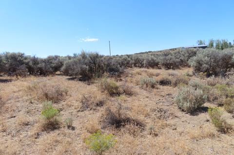Tl-600 Tl600 Cemetery-27s17e28ba00600 Road, Christmas Valley, OR 97641