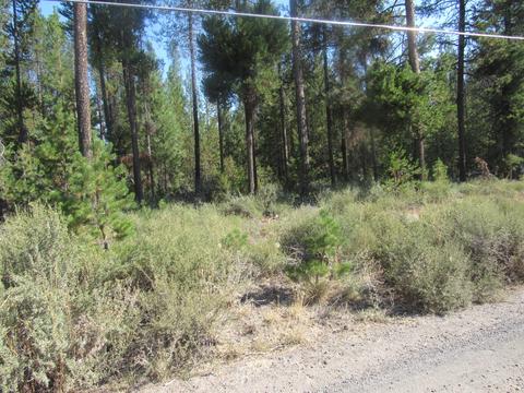 15752 Twin Dr, La Pine, OR 97739