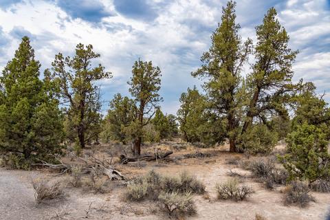 61300 Badlands Ranch Dr, Bend, OR 97702 photo 35