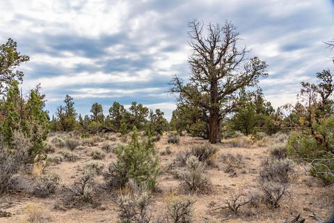 61300 Badlands Ranch Dr, Bend, OR 97702 photo 31