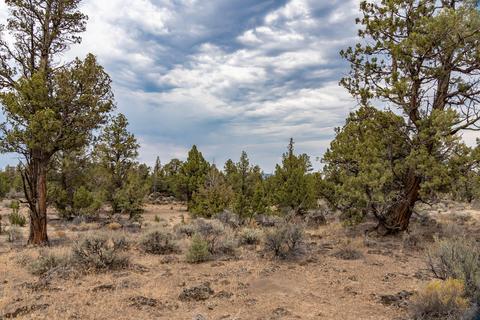 61300 Badlands Ranch Dr, Bend, OR 97702 photo 30
