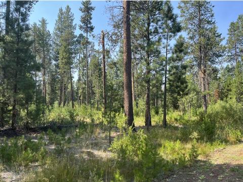 1926 Cheryl Dr, La Pine, OR 97739 photo 1