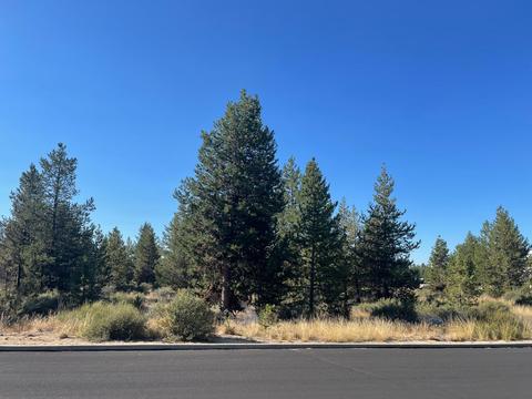 16629 Assembly Way, La Pine, OR 97739 photo 1