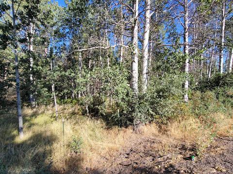 lot22 Brittany Dr, Chiloquin, OR 97624