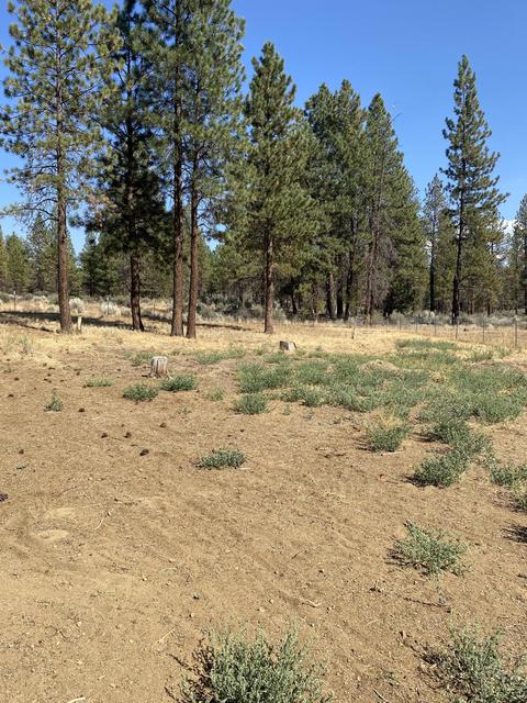 21619 Thunderbird Ln, Chiloquin, OR 97624 photo 14